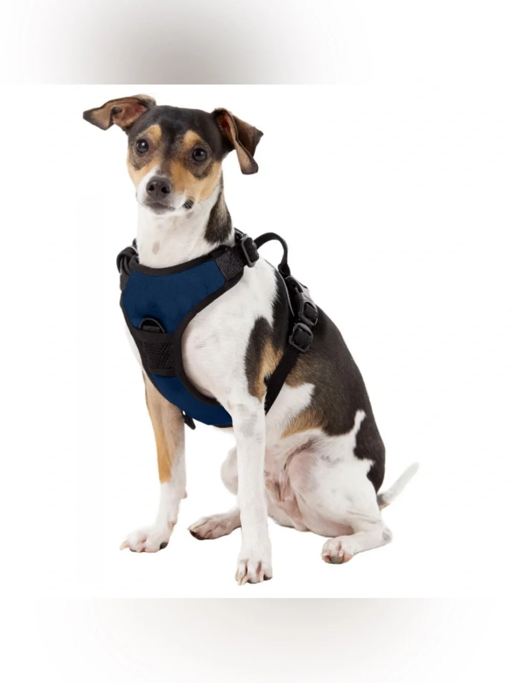 University of Mississippi Adjustable Navy Blue & Black Padded Dog Harness